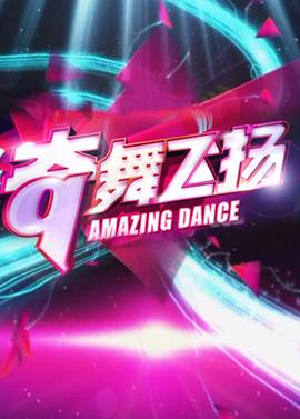奇舞飞扬 2013