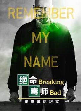 绝命毒师 第六季
